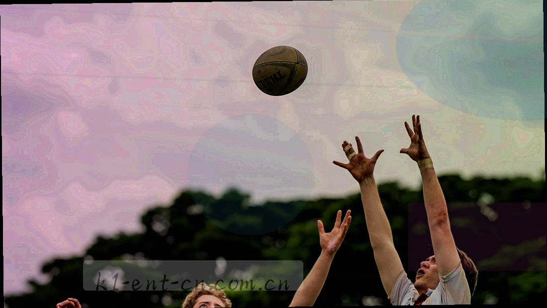 四个内容栏目分布示意图形，用色块与标签分隔